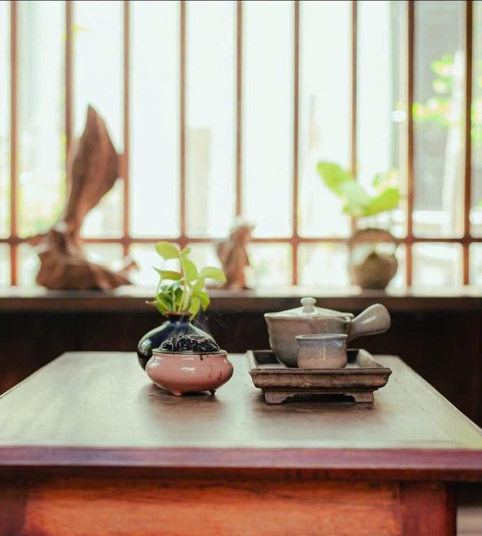 Cỏ — Studio 10