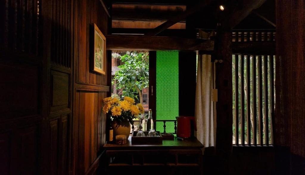 Cỏ — Studio 7